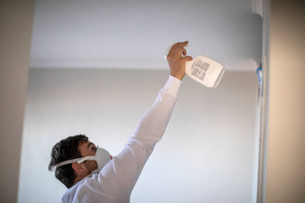 Best Mold Testing and Inspection Services in Madeira Beach, FL