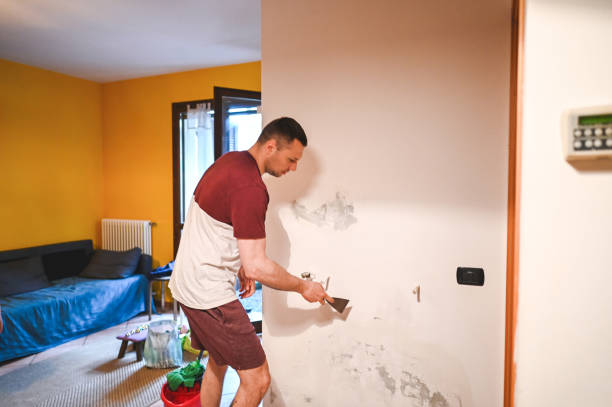 Best Basement Mold Remediation in Madeira Beach, FL